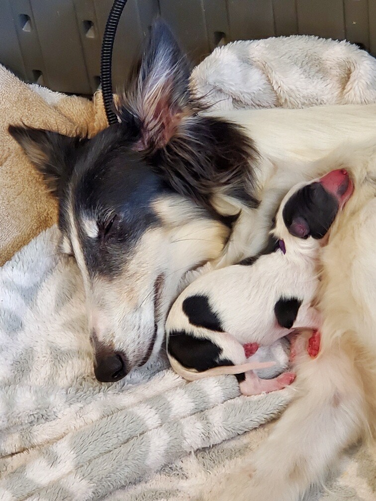 Welcome little Rockets!